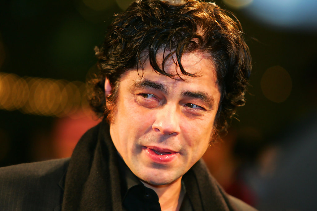 Benicio8_resize.PNG
