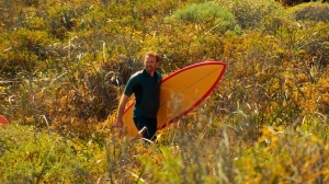 Surfer 3