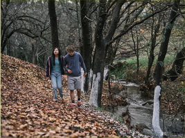 Vra8 resize