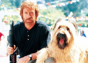 Chuck_Norris.jpg