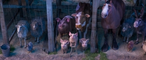 Animal Farm 1