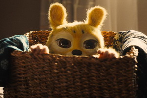 Marsupilani resize